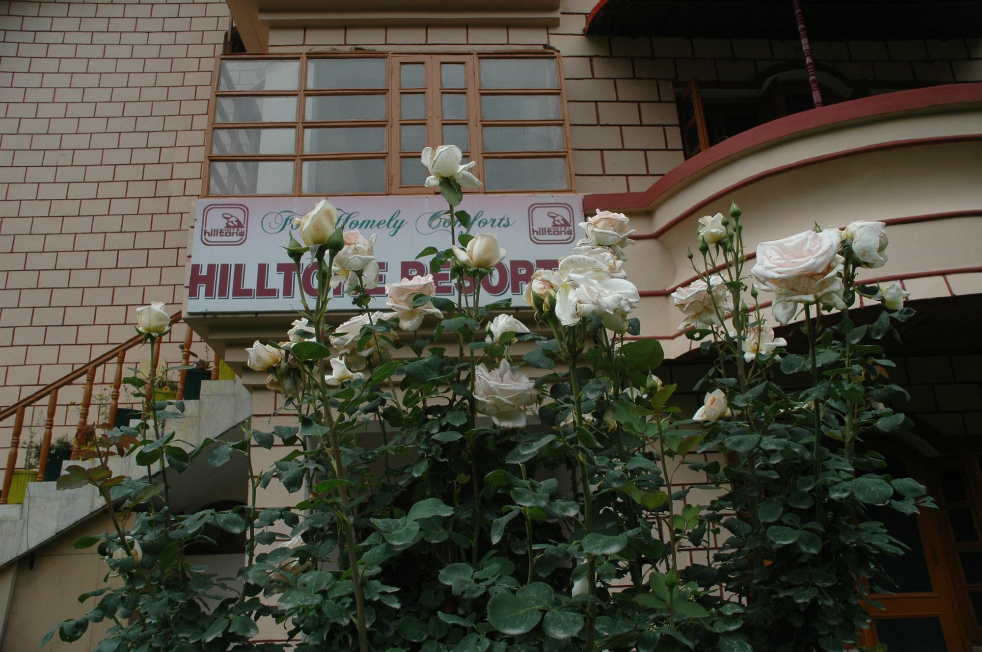 Hilltone Resorts & Spa Manāli Exteriör bild